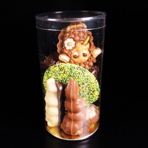 Afbeelding van Lente chocolaatjes in koker (klein)